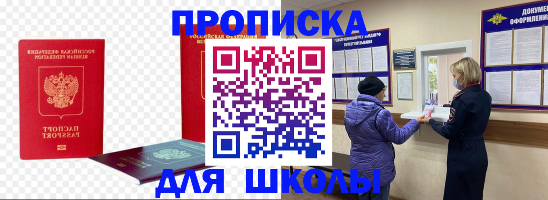 где прописаться в Павловске